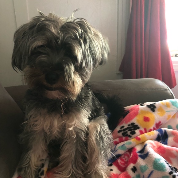 Meet your Posher, Randy - Picture 1 of 1